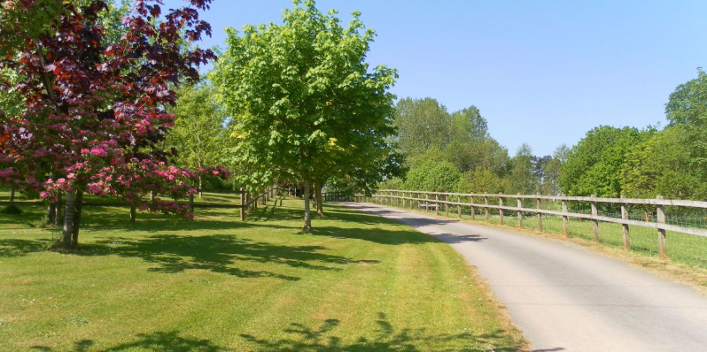 Emphasis on long-term thinking