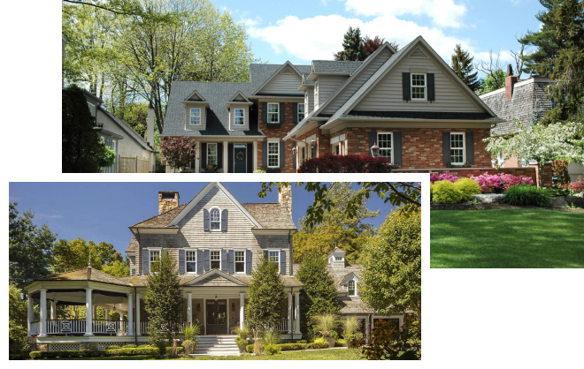 Emphasis On Tree Preservation